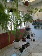 Foto 27